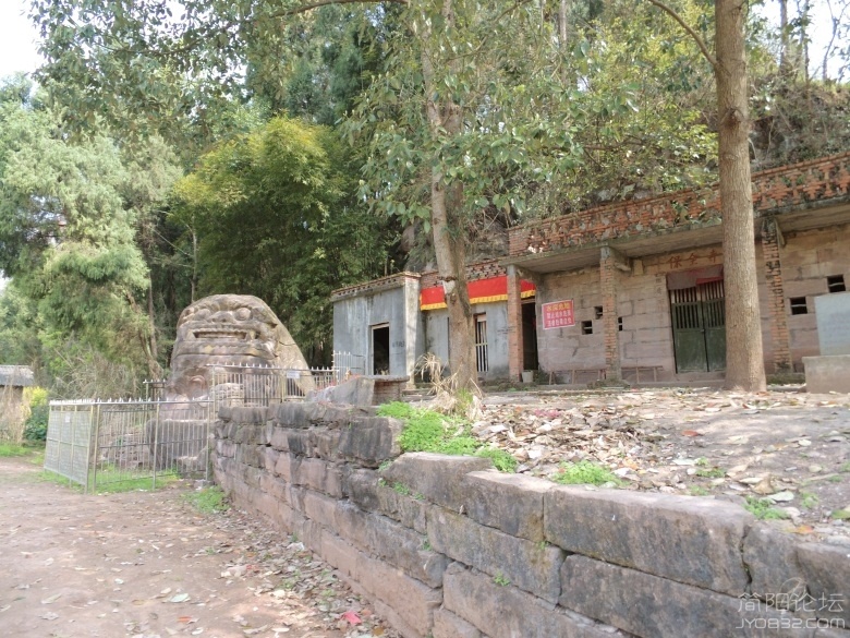 DSCI4528.jpg