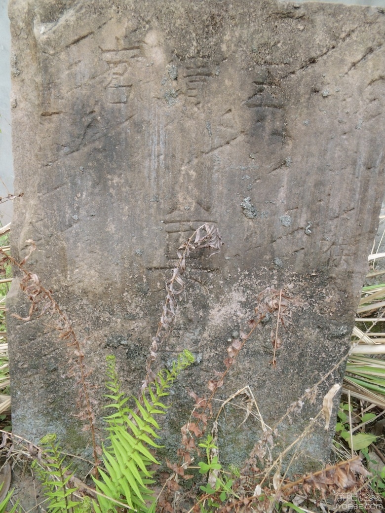 DSCI4518.jpg