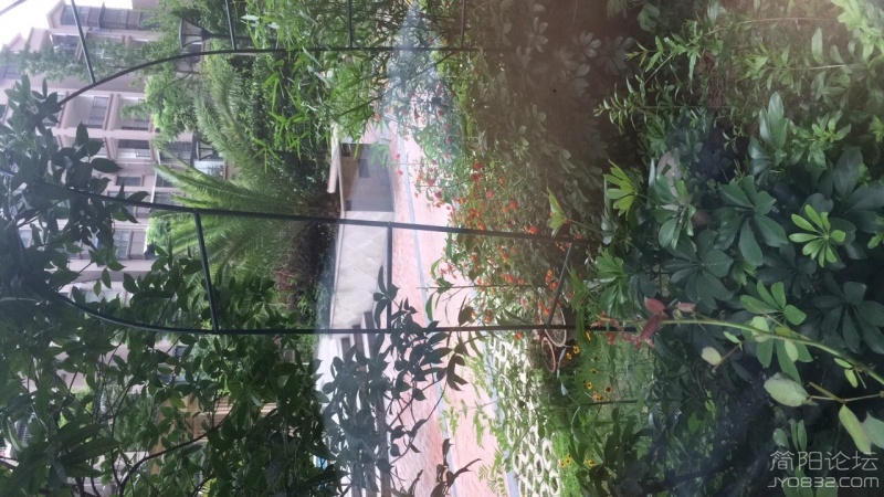 image.jpeg