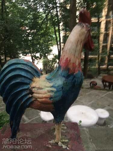 image.jpeg