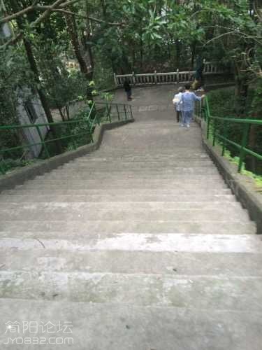 image.jpeg