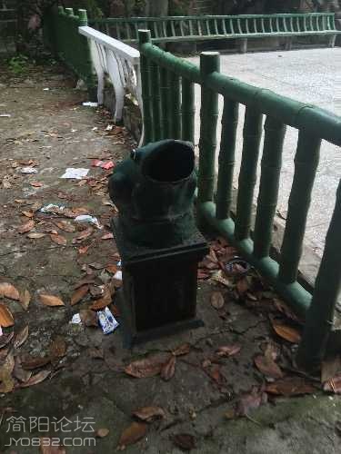 image.jpeg