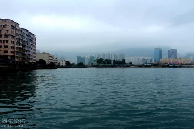 IMG_6361.jpg