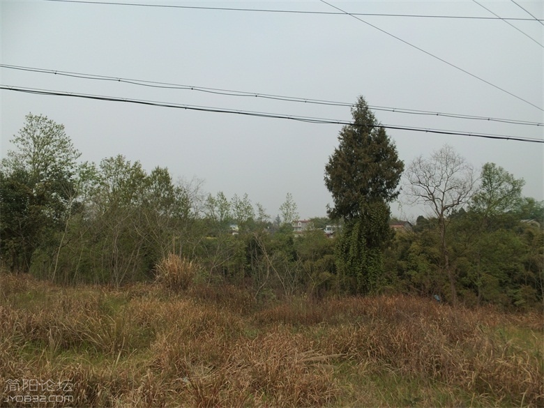 DSCI4693.jpg