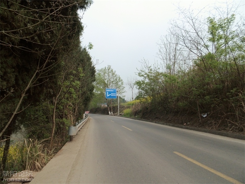 DSCI4690.jpg