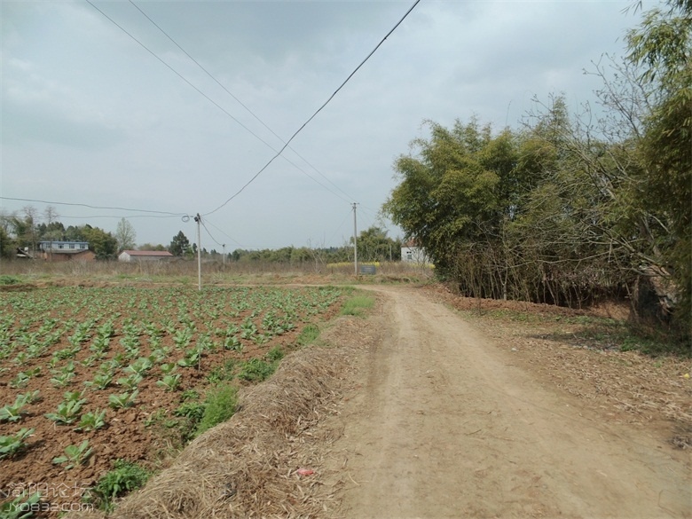 DSCI4537.jpg