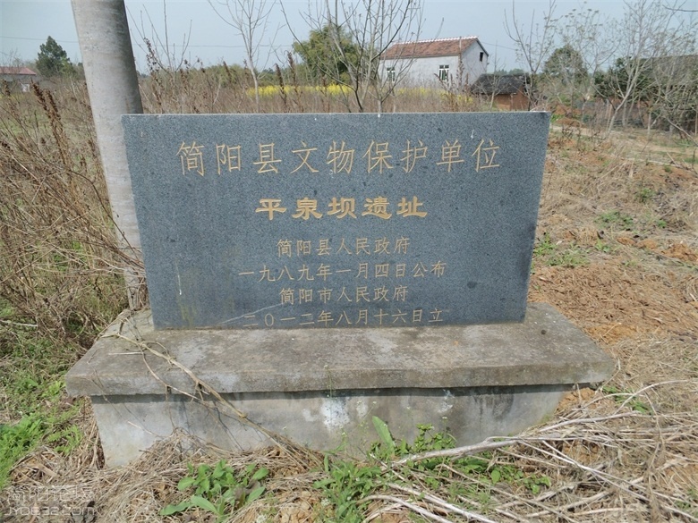 DSCI4538.jpg