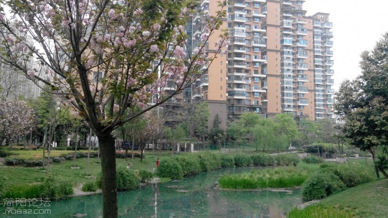 20160331180953.jpg