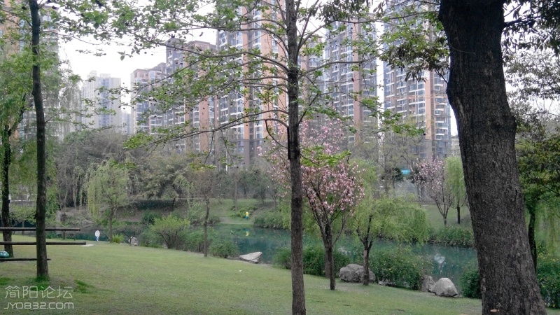 20160331181905.jpg