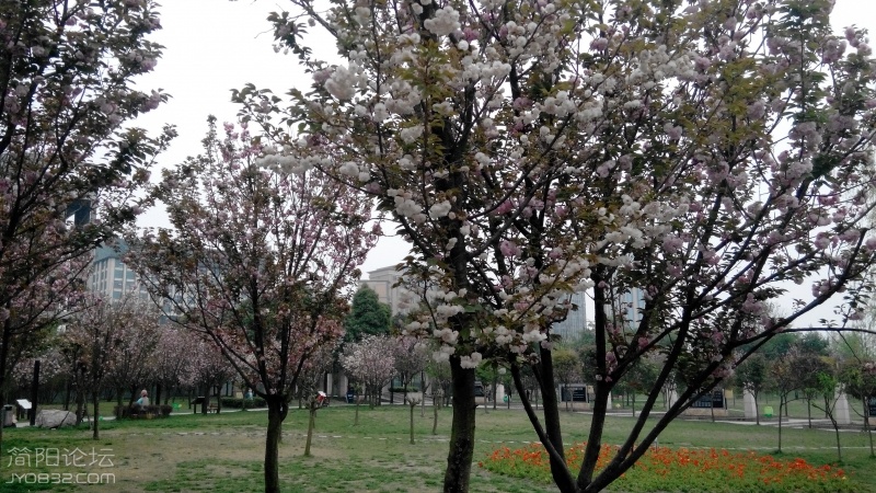 20160331183626.jpg