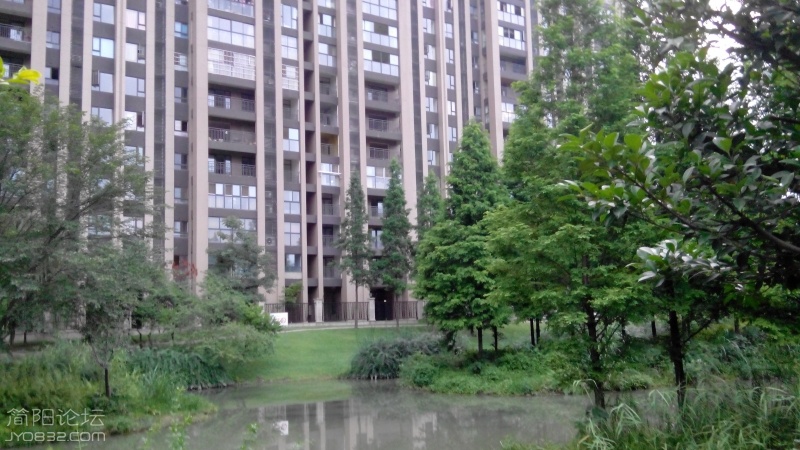20160621194659.jpg