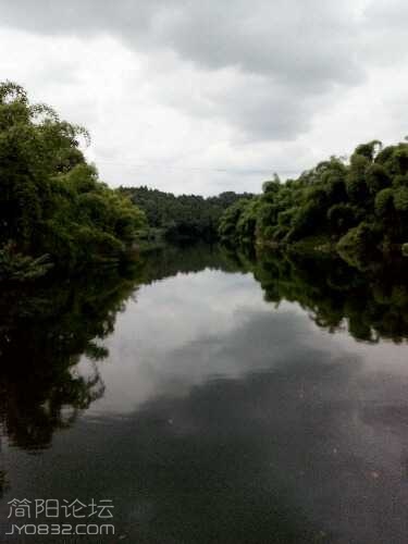 IMG_20140829_133833.jpg