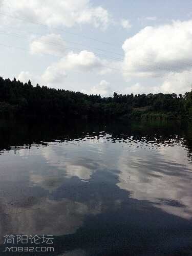 IMG_20140829_155720.jpg