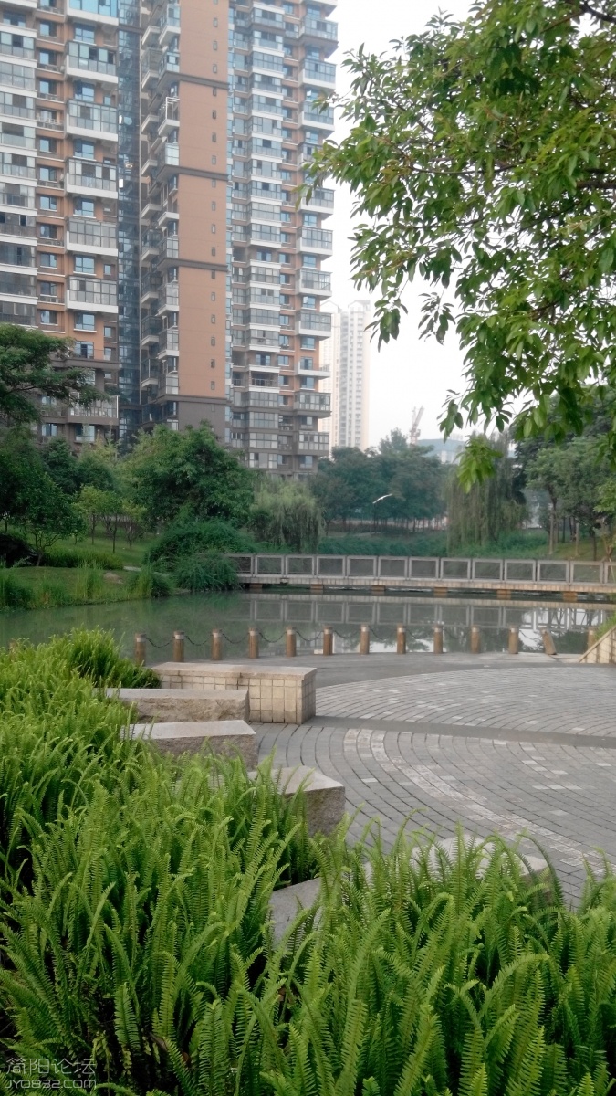 20160622190530.jpg