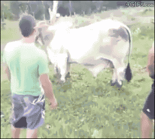 0.gif
