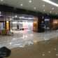 forum(3).jpeg