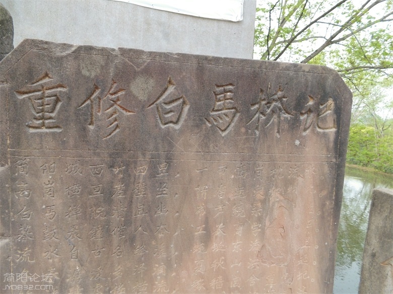 DSCI4715.jpg