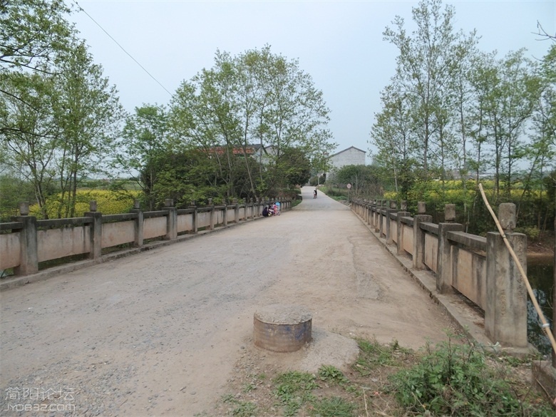 DSCI4718.jpg