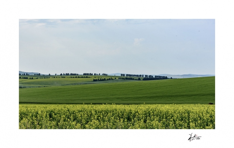 _DSC2716.jpg