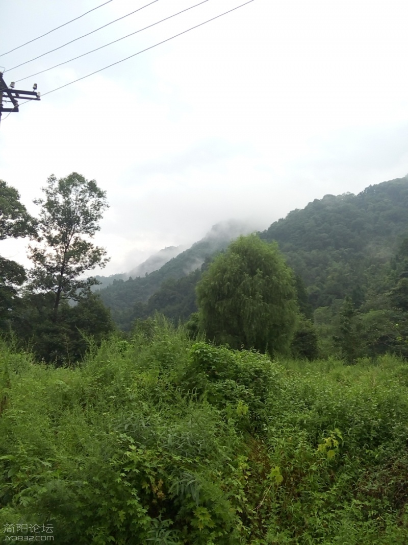 P60807-155302.jpg