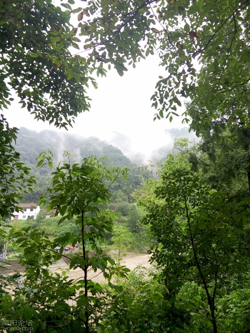P60807-155122.jpg