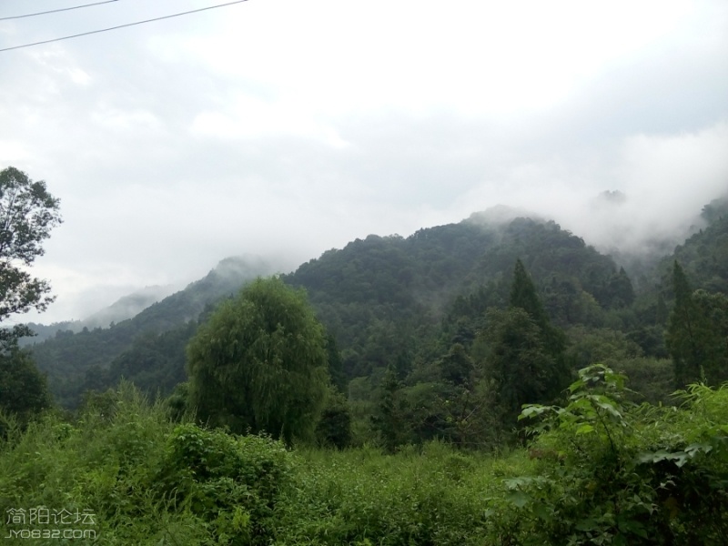 P60807-155322.jpg