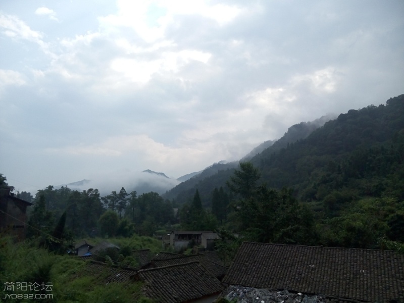 P60807-155850.jpg