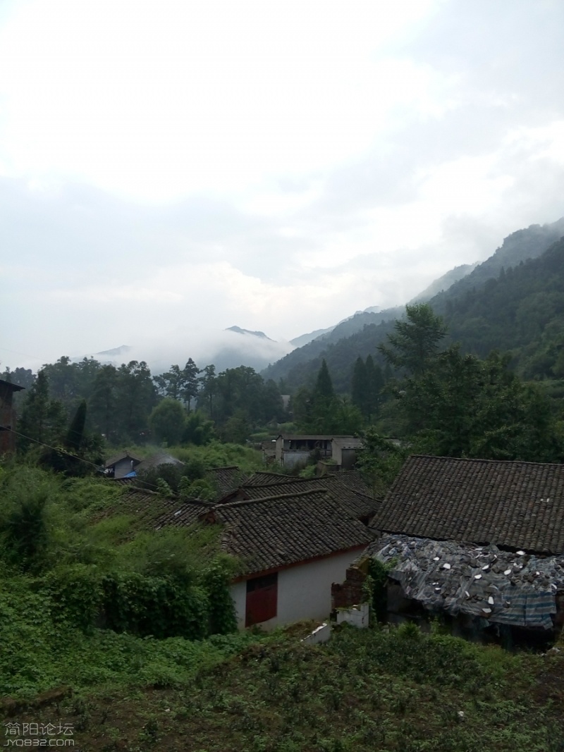 P60807-155906.jpg