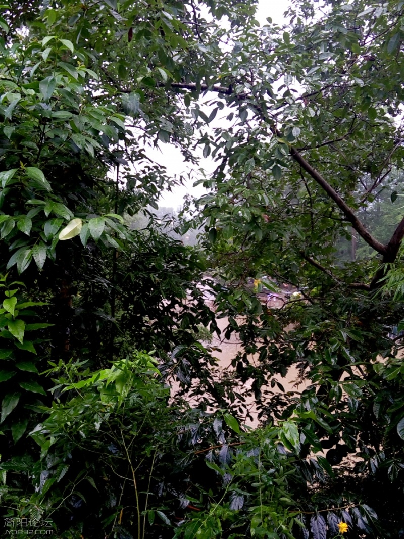 P60807-162031.jpg
