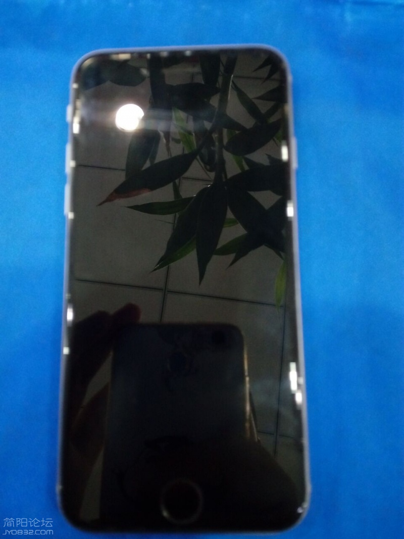 QQ图片20160825114522.jpg