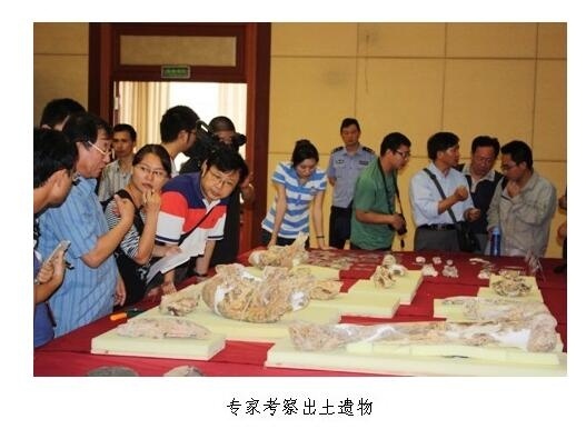 QQ截图20160825144422.jpg