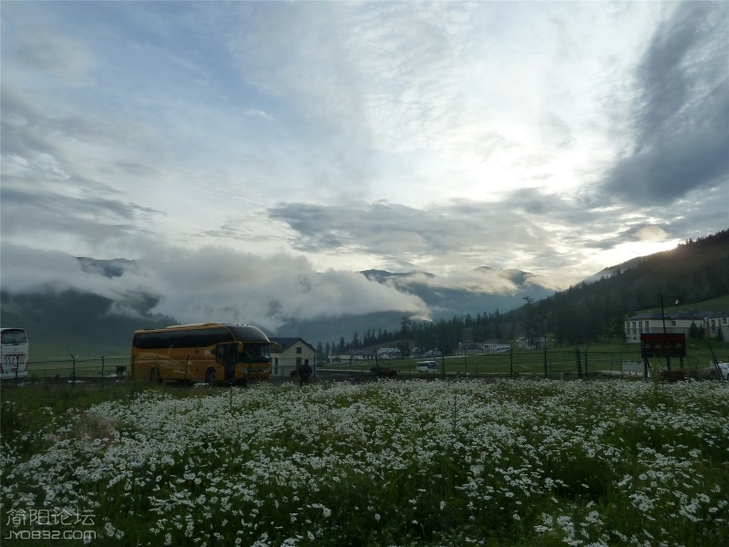 mtxx195.jpg