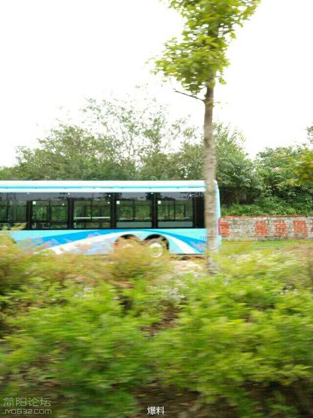 83Fkqv31FvvS.jpg