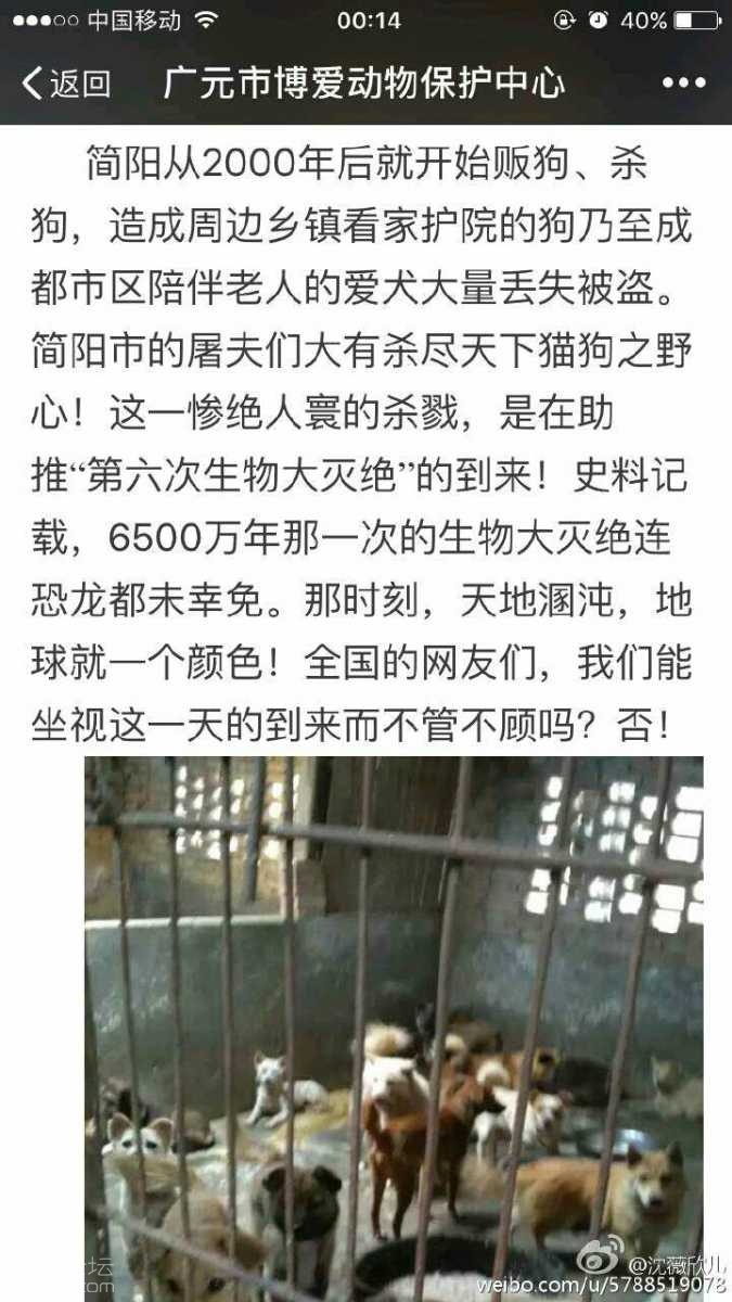 53g525n36Rnn.jpg