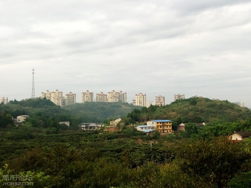 IMG_20161025_083802_499_副本.jpg