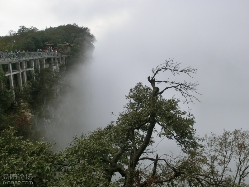 天门山104 (5).jpg