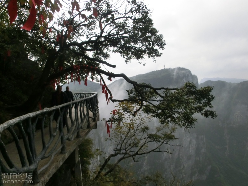 天门山105 (14).jpg