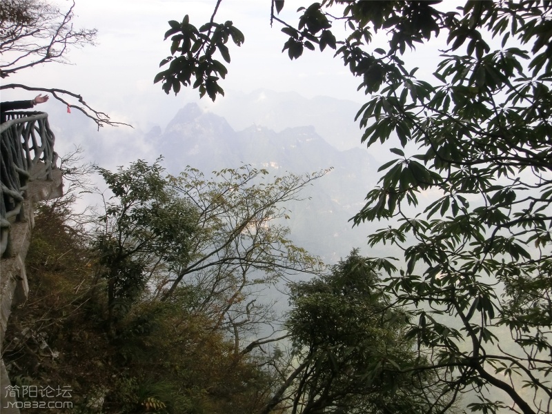 天门山106 (18).jpg