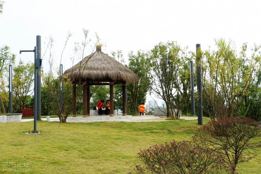 IMG_9660.jpg