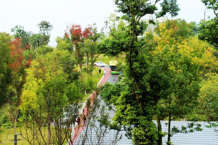 IMG_9664.jpg