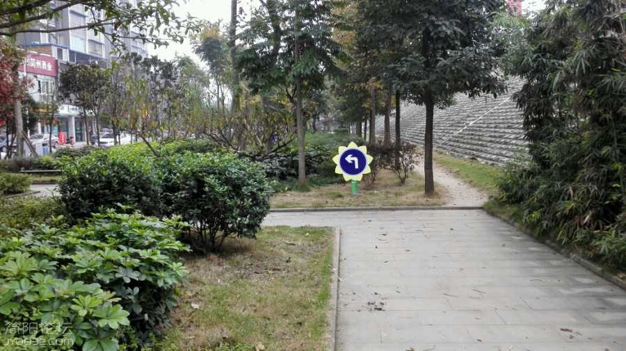 jM0Si3JE0zzJ.jpg