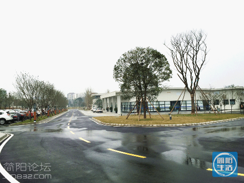 mmexport1479429296300.gif
