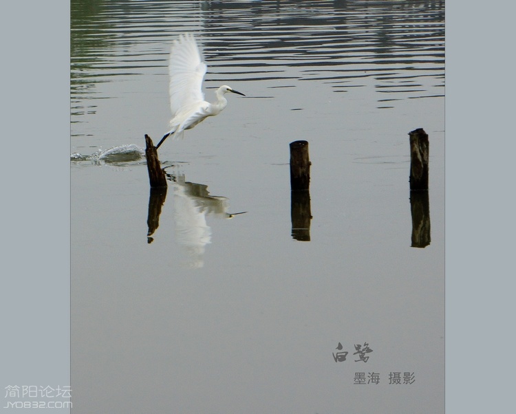 DSC02922--0.jpg