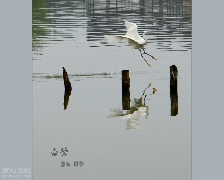 DSC02923--0.jpg