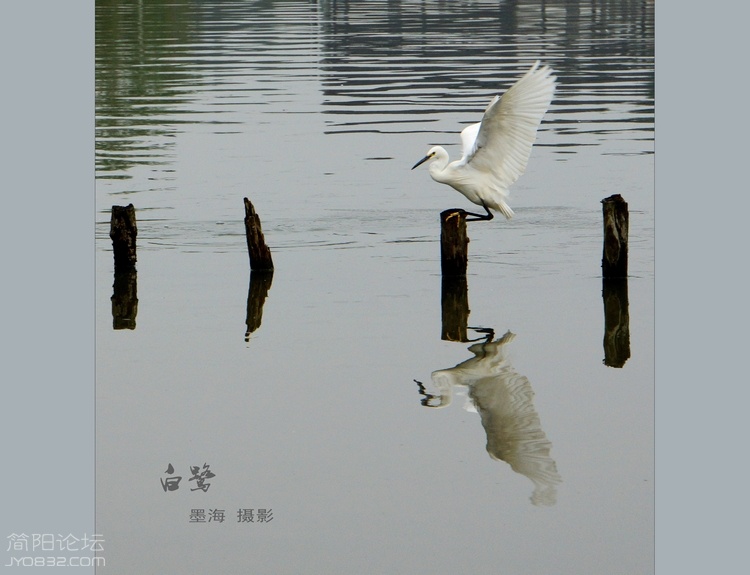 DSC02924--0.jpg