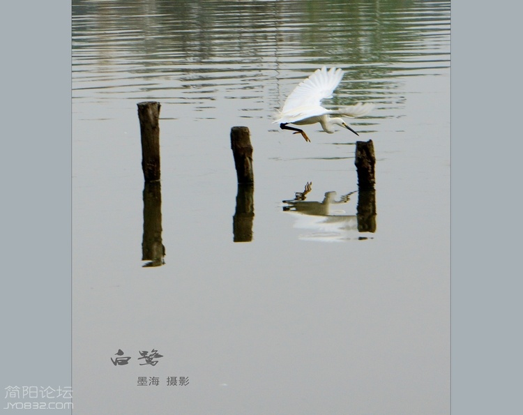 DSC02921--0.jpg