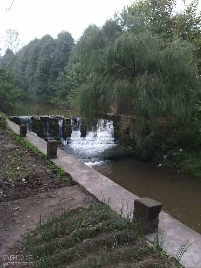 57.jpg