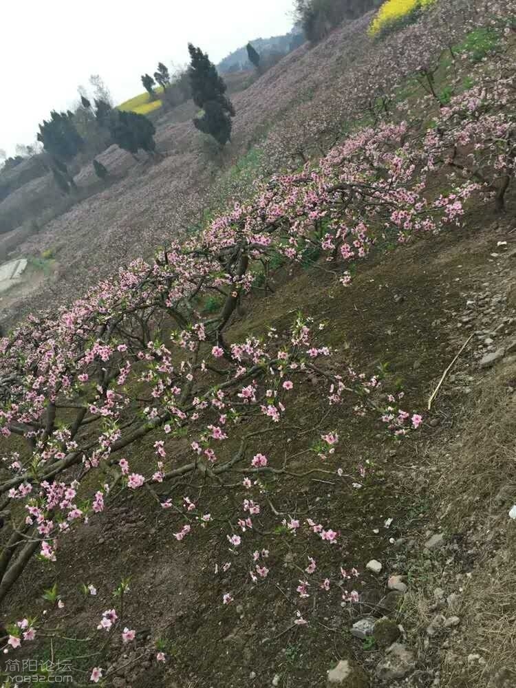 59.jpg