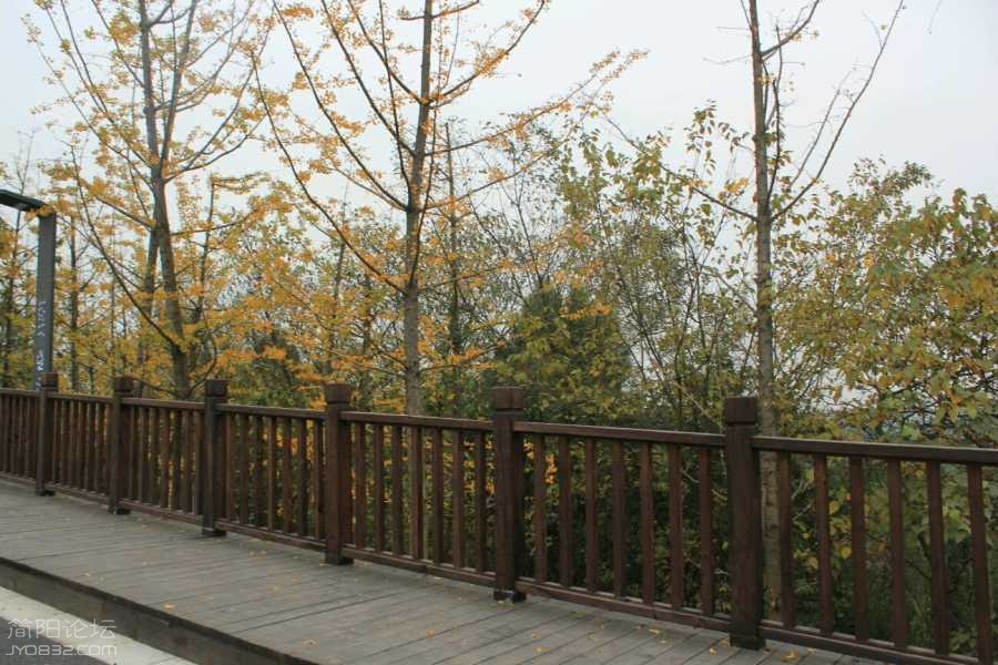 MiaaMNwIIec8.jpg
