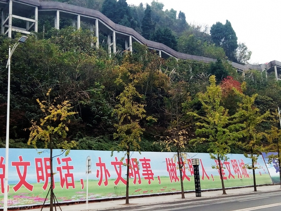 IMG_20161128_091519_875_副本.jpg